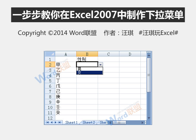 教你在Excel2007中逐步制作下拉菜单