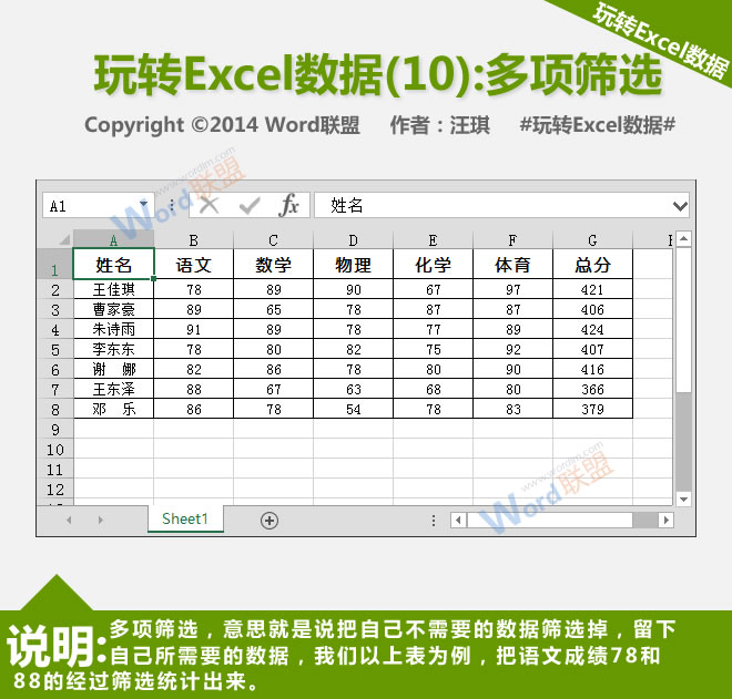 多重过滤器:播放Excel数据(10)