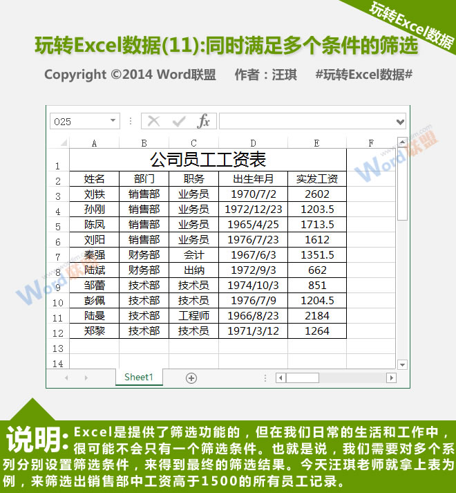 同时满足多个条件的过滤器:播放Excel数据(11)