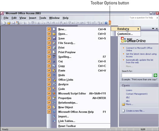 如何自定义Office 2003用户界面？